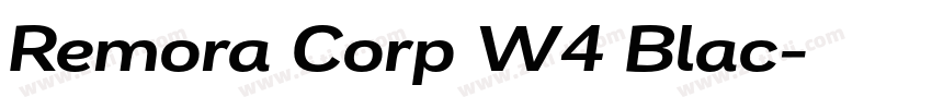 Remora Corp W4 Blac字体转换